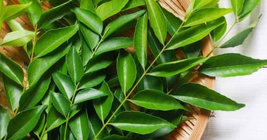 curry-leaves-the-ayurvedic-superleaf-for-health-hair-and-skin