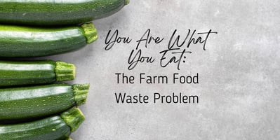 You Are What You Eat: The Farm Food Waste Problem Title Image