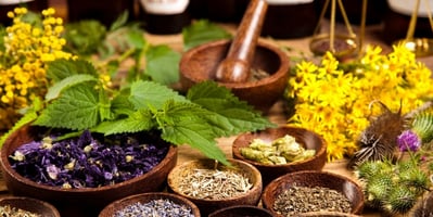 Seven-Common-Culinary-Herbs-and-their-Medicinal-Uses