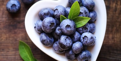 blueberries-for-osteoarthritis-and-joint-pain