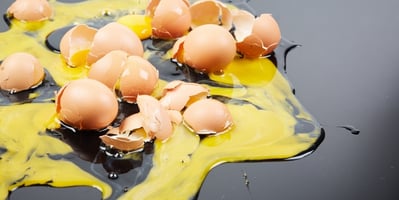 why-dont-vegans-eat-eggs
