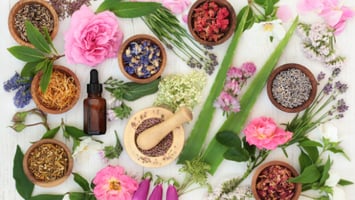 Herbs That Heal essential oils and flowers