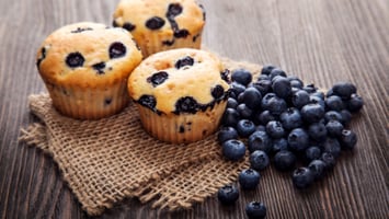 lemon blueberry vegan muffins with fresh blueberries