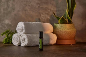 the-benefits-and-uses-of-tea-tree-oil